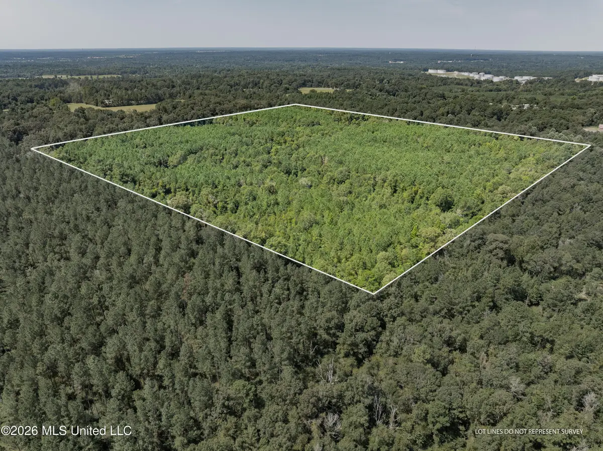 40 Acres Hwy 588, Collins, MS 39428 - #1