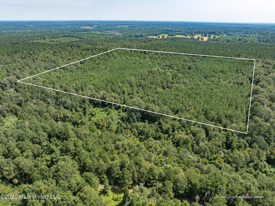 40 Acres Hwy 588, Collins, MS 39428 - #3