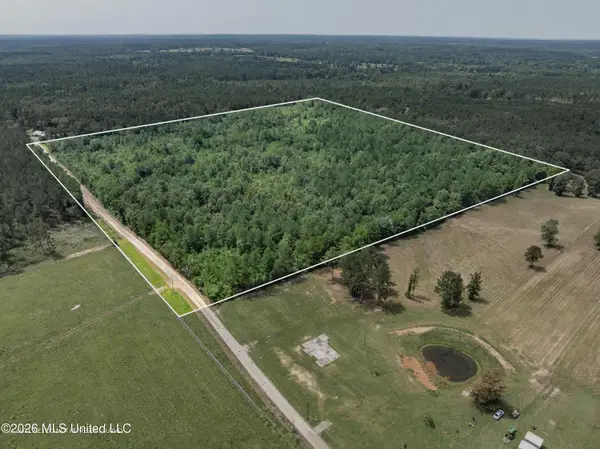 40 Acres Son's Lane, Mount Olive, MS 39119