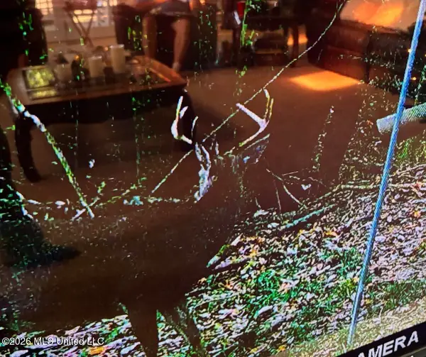 50 Oakdale Church Road, Seminary, MS 39479