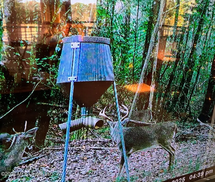 50 Oakdale Church Road, Seminary, MS 39479 - #3