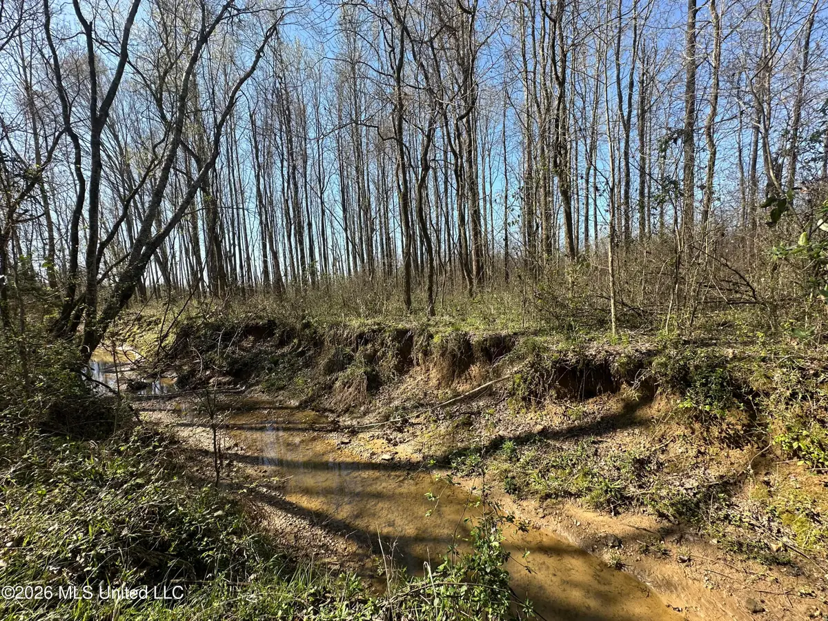 0 Wildwood Road, Vaughan, MS 39179 - #1