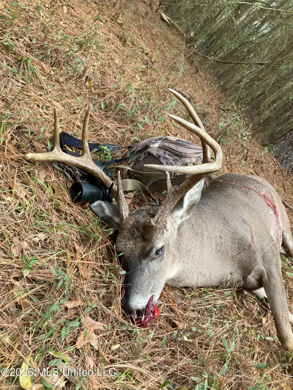 Conerly Drive, McComb, MS 39648