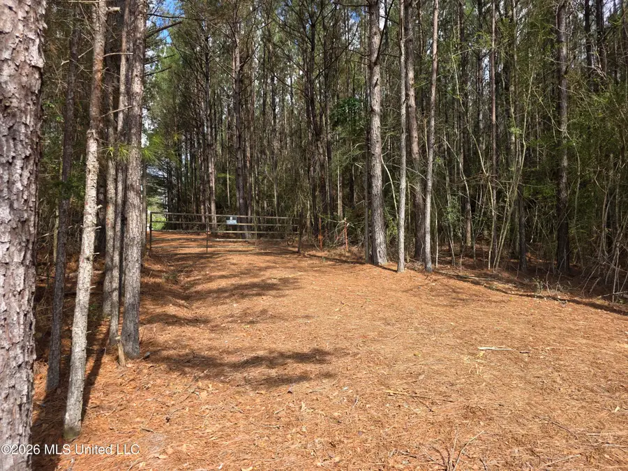 Conerly Drive, McComb, MS 39648 - #3