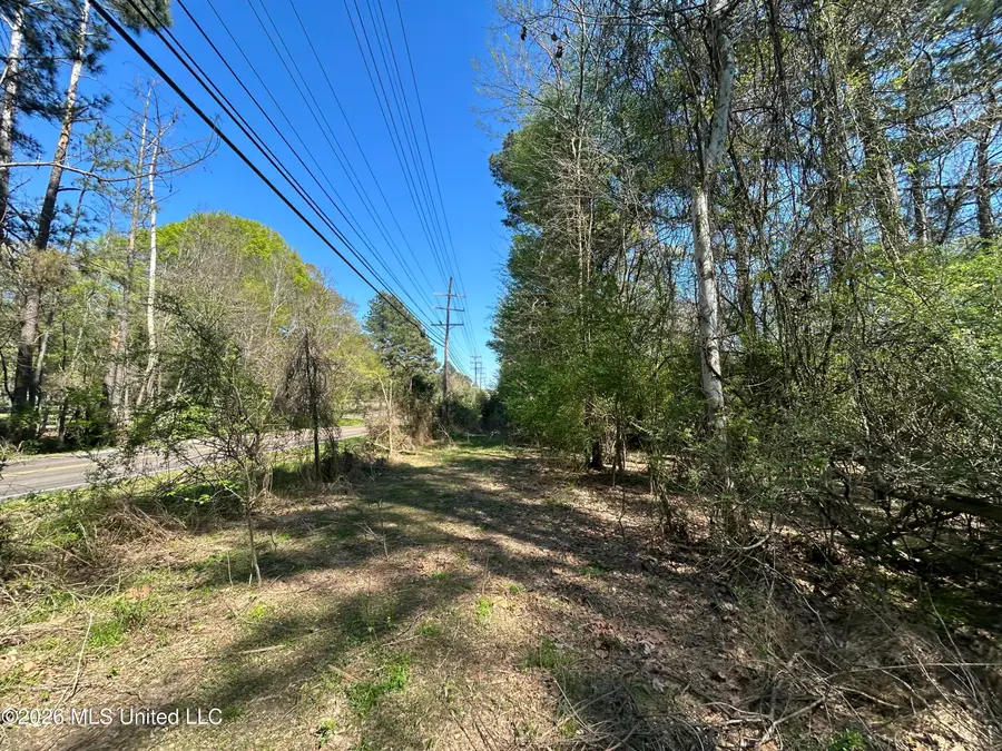 Hoy Road, Madison, MS 39110 - #2