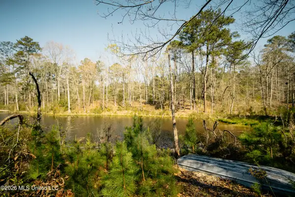 646 Harrisville Road, Braxton, MS 39044