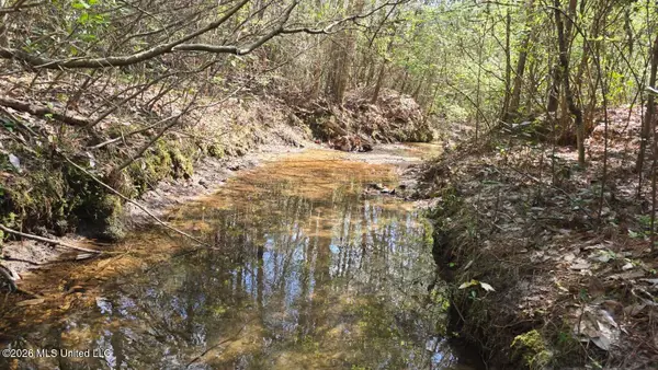 0 SE Gill Drive, Brookhaven, MS 39601