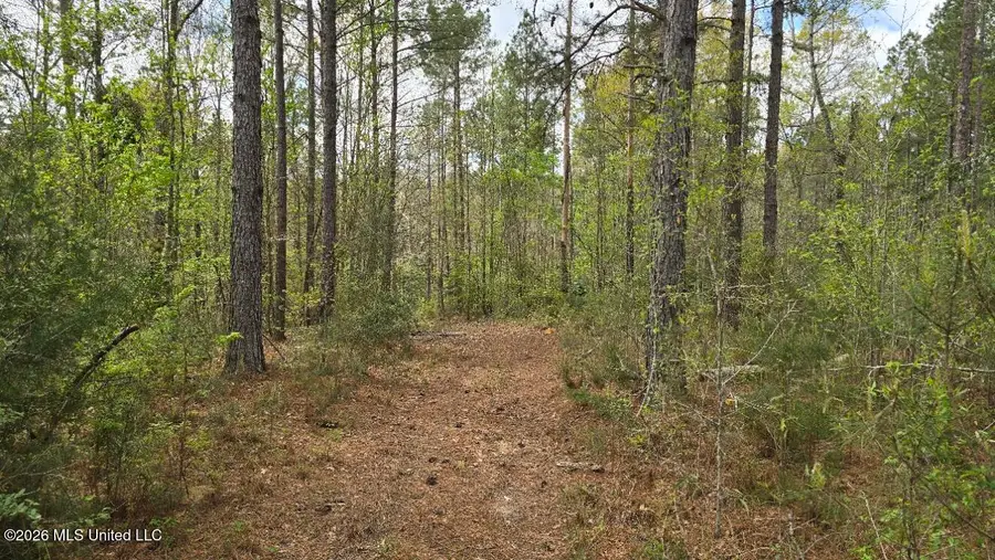 0 SE Gill Drive, Brookhaven, MS 39601 - #2