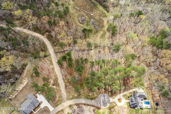 Brookhollow Lot 7 Court, Flowood, MS 39232