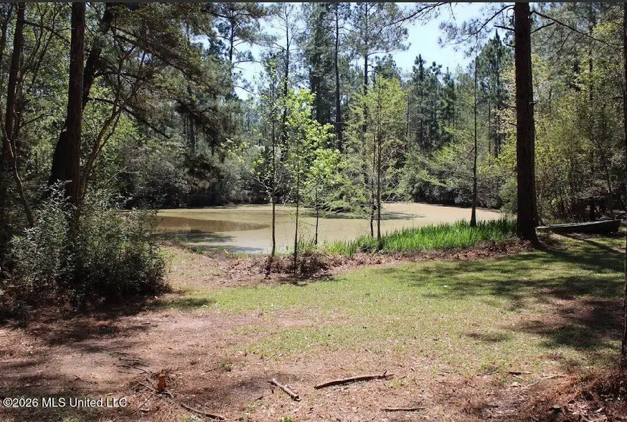 121 1 American Sand, Poplarville, MS 39470 - #2