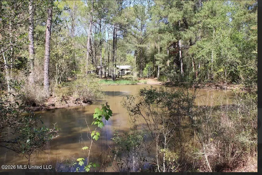 121 1 American Sand, Poplarville, MS 39470 - #3