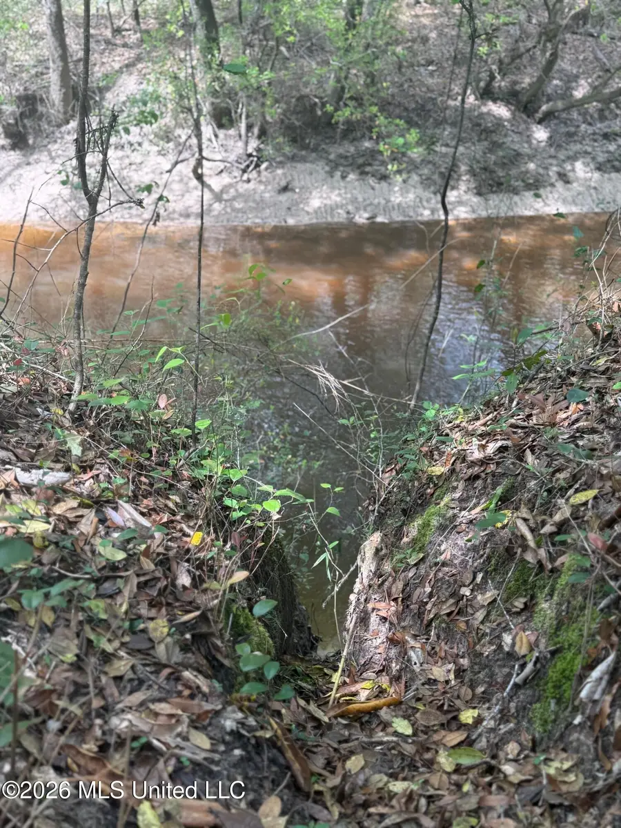 347 E Old Highway 49, Hattiesburg, MS 39401 - #2