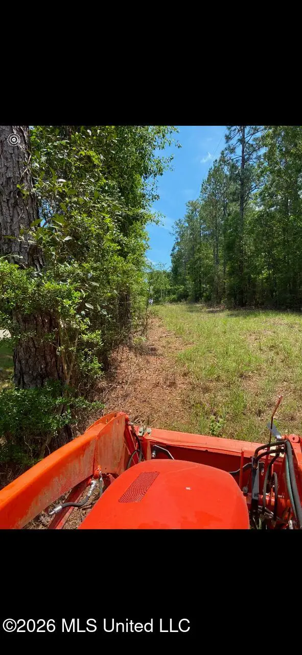 347 E Old Highway 49, Hattiesburg, MS 39401 - #3