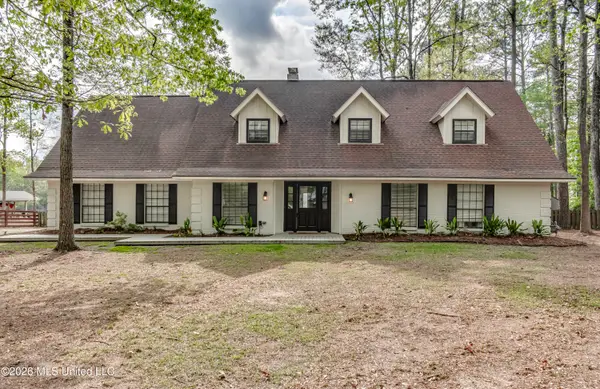 907 Audubon Point Drive, Brandon, MS 39047