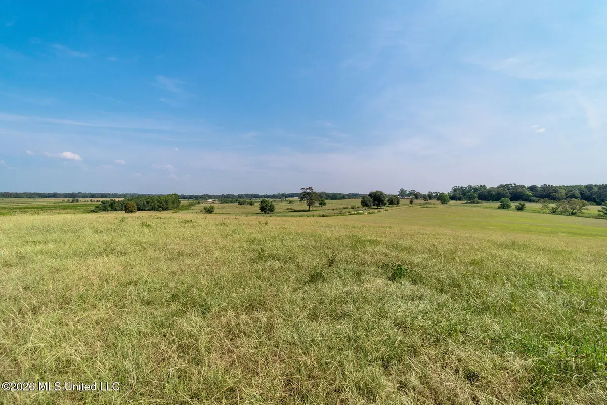 Lot#2 Grady Lewis Road, Poplarville, MS 39470 - #1