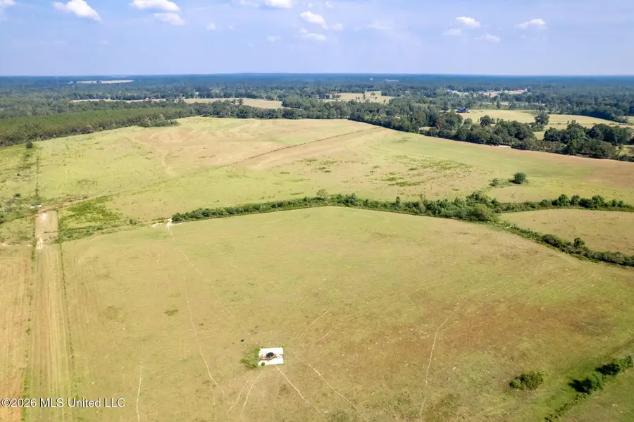 Lot #4 Grady Lewis Road, Poplarville, MS 39470 - #3
