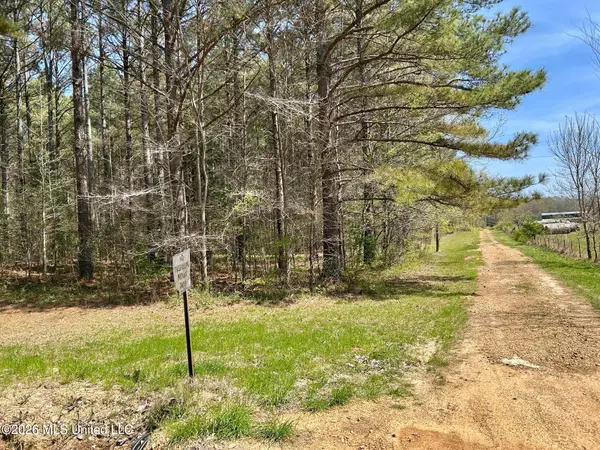 2250 Bend Road, Coldwater, MS 38618