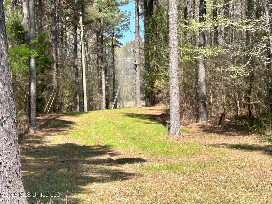 2250 Bend Road, Coldwater, MS 38618 - #2