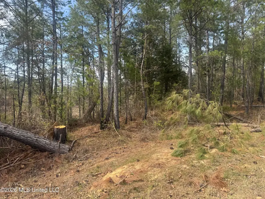 Musgray Road, Waterford, MS 38685 - #2