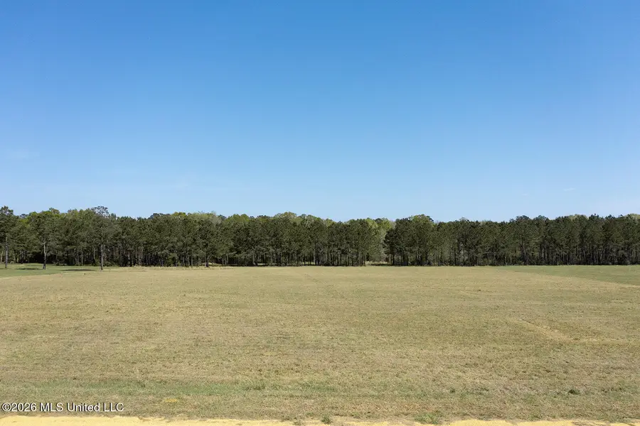 Lot #4 Lenora Drive, Carriere, MS 39426 - #3