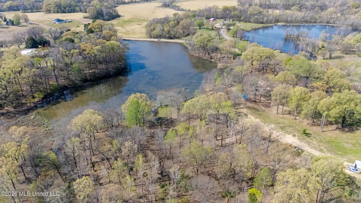 4234 Delta View Road, Lake Cormorant, MS 38641 - #1