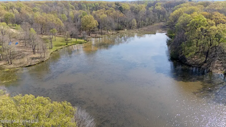 4234 Delta View Road, Lake Cormorant, MS 38641 - #3