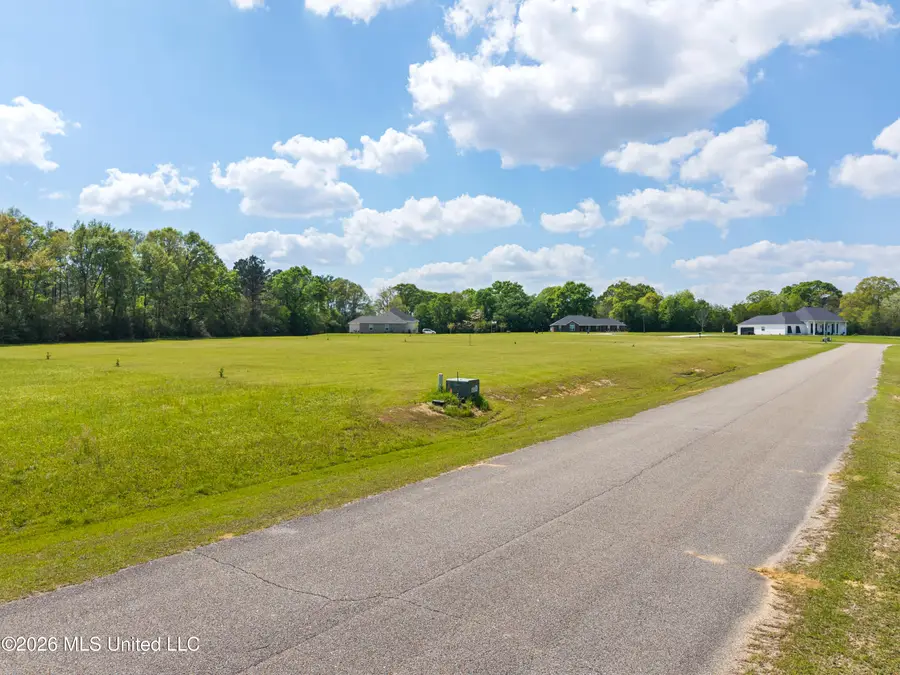 Lot 8 Oak Drive, Perkinston, MS 39573 - #3