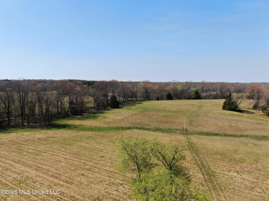 1800 Concord Road, Lamar, MS 38642 - #2