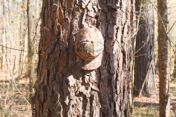 County Road 2277, McCool, MS 39108