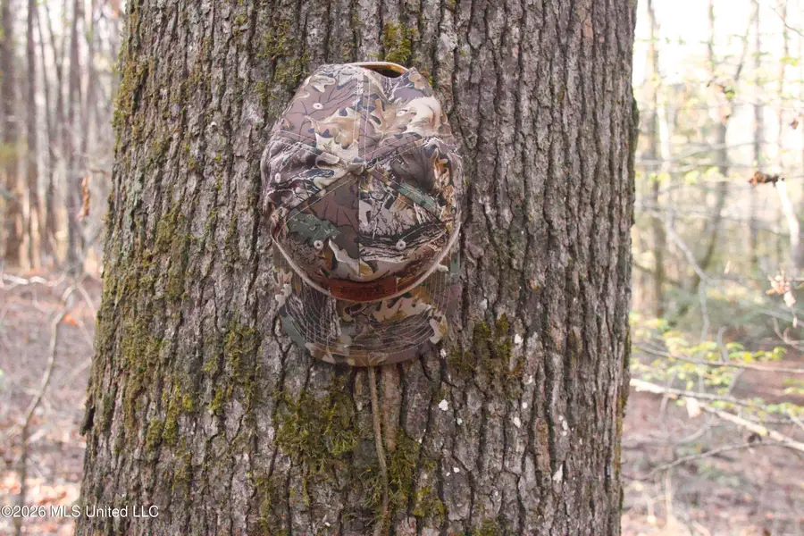 County Road 2277, McCool, MS 39108 - #2