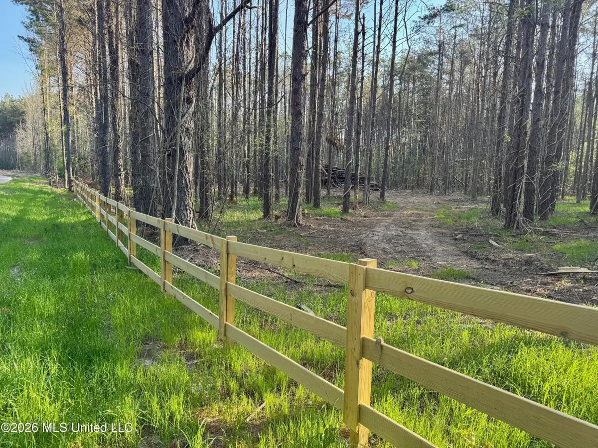 Tbd County Road 493, Paris, MS 38949 - #1