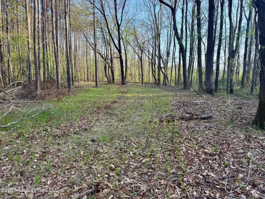 Tbd County Road 493, Paris, MS 38949 - #2