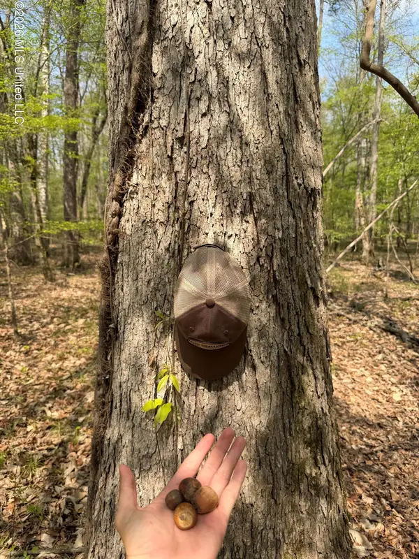 1309 County Road 311, Enterprise, MS 39330