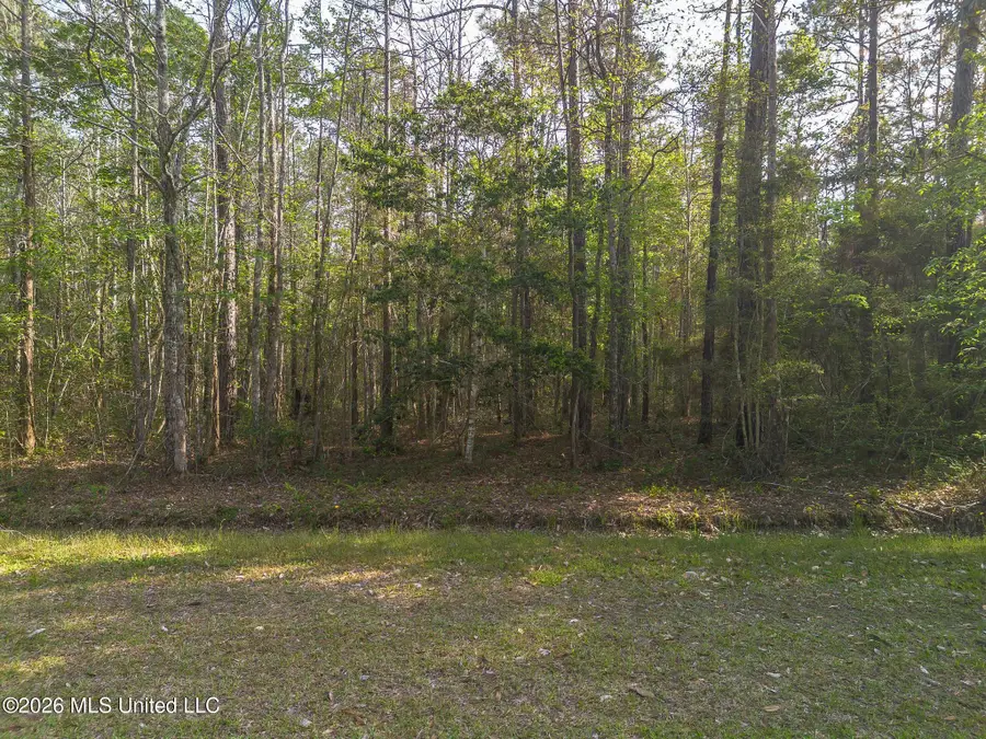 Ramon Street, Bay Saint Louis, MS 39520 - #2