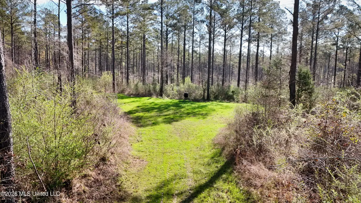 0 N Putnam Road, Pickens, MS 39146 - #1