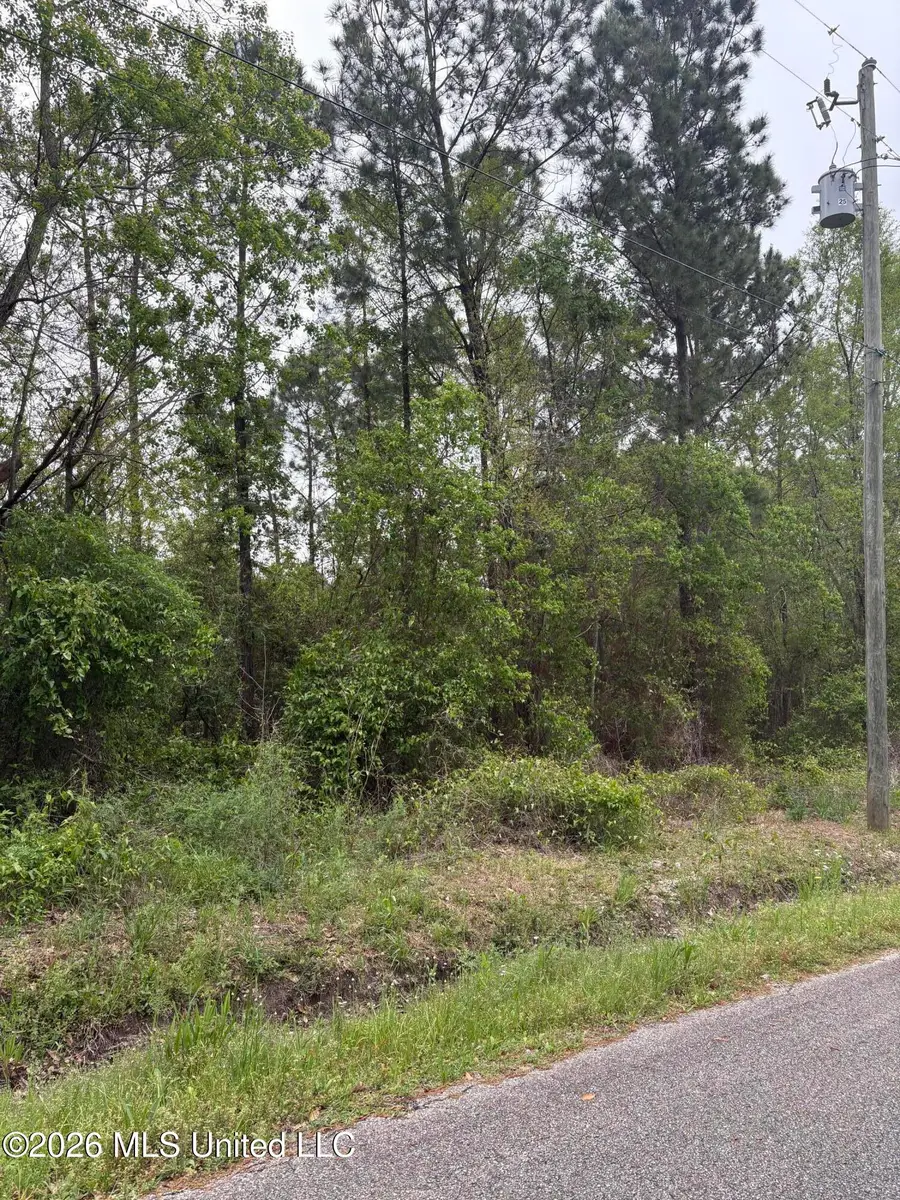 00 Wilson St Street, Bay Saint Louis, MS 39520 - #2