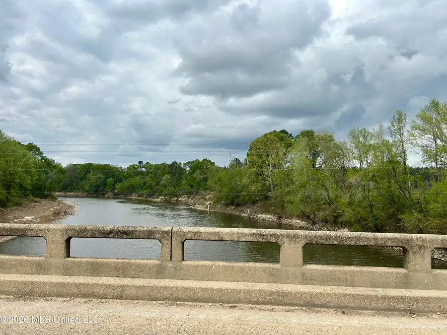 Highway 184, Silver Creek, MS 39663 - #3