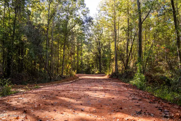 Bolin Long Creek Road, Meridian, MS 39301