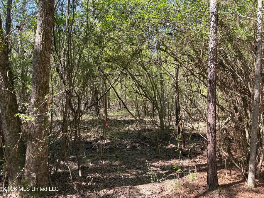 SW Auburn Drive, Bogue Chitto, MS 39629 - #2
