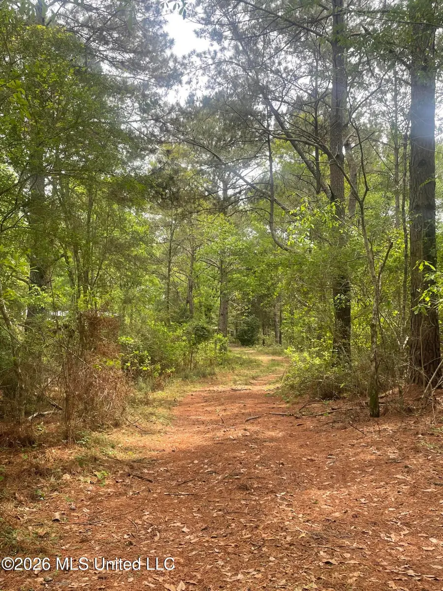 808 Big 4 Road, Wiggins, MS 39577 - #3