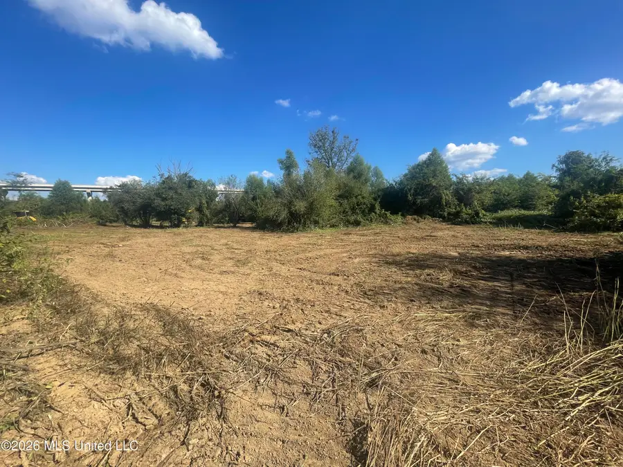 Old Twin Lake Road, Redwood, MS 39156 - #3