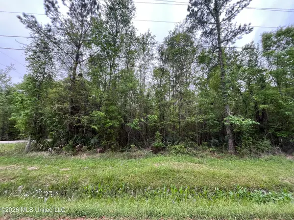 Lot 1 Cedar Drive, Pearlington, MS 39572