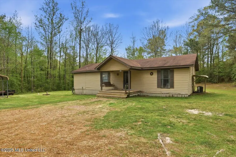 707 Gum Springs Road, Braxton, MS 39044 - #2