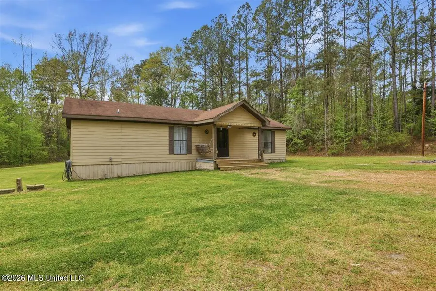 707 Gum Springs Road, Braxton, MS 39044 - #3