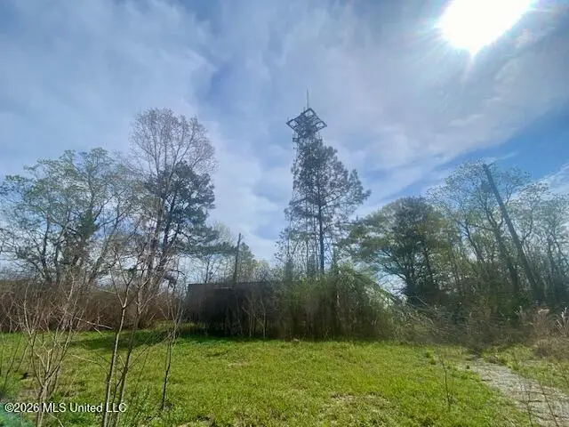 Mississippi 24, Gloster, MS 39638 - #3