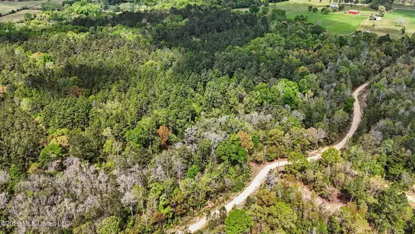 0 Pete Dixon Road, Lucedale, MS 39452