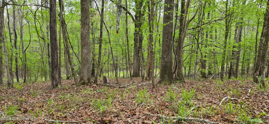 Ms-17, Coila, MS 38923 - #2