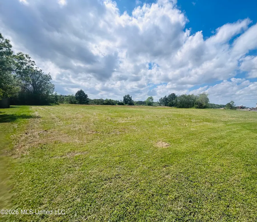 1 Meeting Street, Brandon, MS 39047 - #2