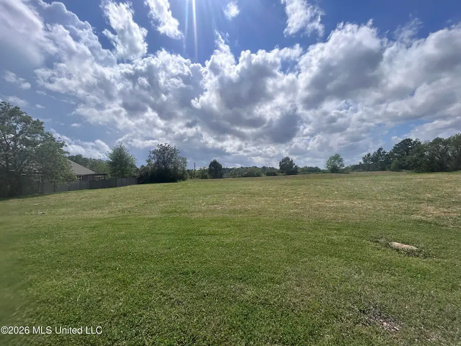 1 Meeting Street, Brandon, MS 39047 - #3