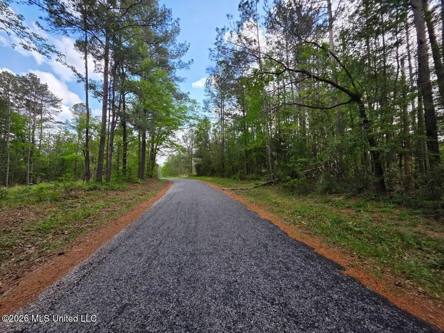 1967 Smith Cr 53 Drive, Mount Olive, MS 39119 - #3